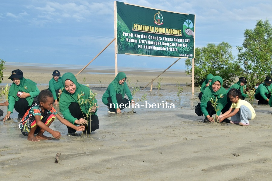Peduli Kelestarian Lingkungan, Persit Kodim Merauke Tanam Ratusan Mangrove di Pantai Payum