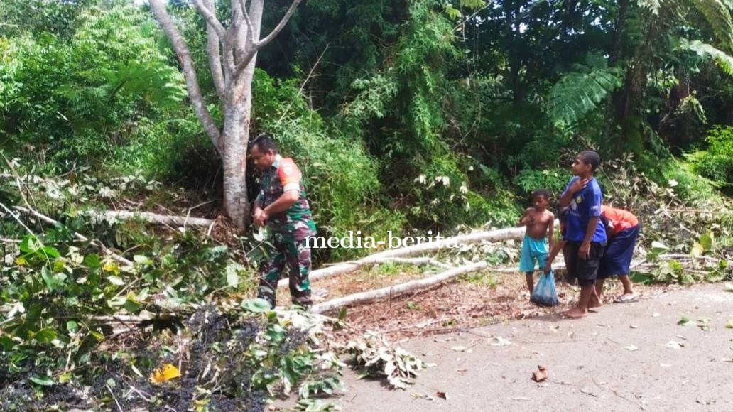 Babinsa Koramil Web Bersama Warga Buka Akses Jalan Yang Tertutup Akibat Pohon Tumbang